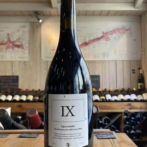IX - Ugo Lestelle - Ugo Lestelle -2019