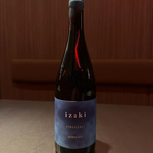 Izaki - Rebel Rebel - alfredo-egia -2020