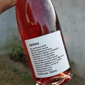 James 2016