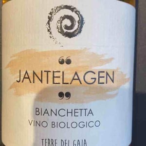 jantelagen - Agricola Polesana - Terre dei Gaia - claudio-polesana -2020