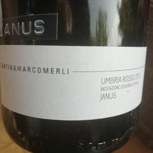 Janus - Cantina Marco Merli - Marco Merli 