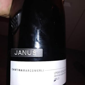 Janus - Cantina Marco Merli - Marco Merli 