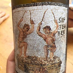 Domaine de L'Ecu - Claire & Fred NIGER - Janus