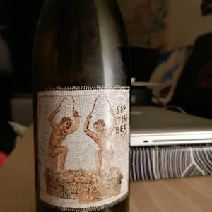 Domaine de L'Ecu - Claire & Fred NIGER - Janus