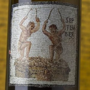 Janus - Domaine de L'Ecu - claire-fred-niger