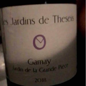 Jardin de la Grande Pièce - Sauvignon Blanc - Les Jardins de Theseiis - paul-andre-risse-anouk-lavoie-lamoureux