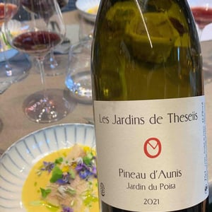Jardin Du Poira - Pineau d’Aunis - Les Jardins de Theseiis - Paul-André Risse & Anouk Lavoie-Lamoureux 