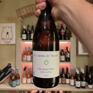 Jardin Du Poira - Sauvignon Blanc - Les Jardins de Theseiis - Paul-André Risse & Anouk Lavoie-Lamoureux 