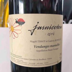 Domaine du Pech - Magali Tissot & Ludovic Bonnelle - Jarnicoton