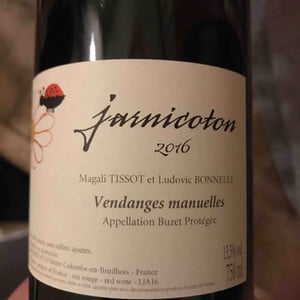 Domaine du Pech - Magali Tissot & Ludovic Bonnelle - Jarnicoton