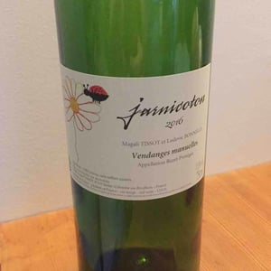 Domaine du Pech - Magali Tissot & Ludovic Bonnelle - Jarnicoton