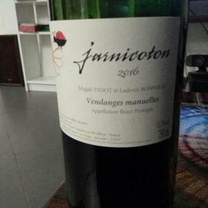 Domaine du Pech - Magali Tissot & Ludovic Bonnelle - Jarnicoton