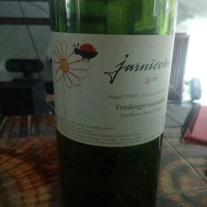 Jarnicoton - Domaine du Pech - Magali Tissot & Ludovic Bonnelle 
