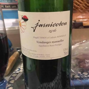 Jarnicoton - Domaine du Pech - Magali Tissot & Ludovic Bonnelle 