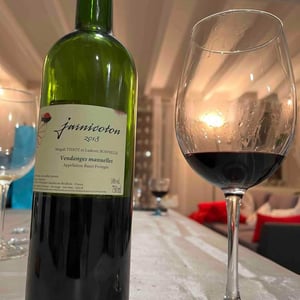 Jarnicoton - Domaine du Pech - Magali Tissot & Ludovic Bonnelle 