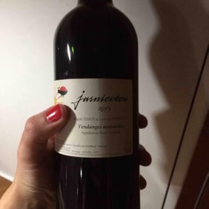 Domaine du Pech - Magali Tissot & Ludovic Bonnelle - Jarnicoton