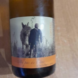 Jasnières - Domaine DE MIANVILLE - christine-de-mianville