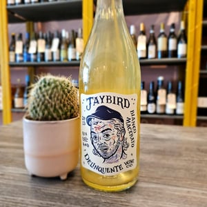 Jaybird - Delinquente Wine Company - con-greg-grigoriou -2023