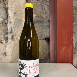 Je Cherche Le Ciel Blanc - Domaine Gardiés - jean-victor-gardies -2022