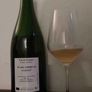 Je suis comme ça et alors? - Anders Frederik Steen & Anne Bruun Blauert - anders-frederik-steen-anne-bruun-blauert