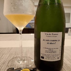 Anders Frederik Steen & Anne Bruun Blauert - Anders Frederik Steen & Anne Bruun Blauert - Je suis comme ça et alors?