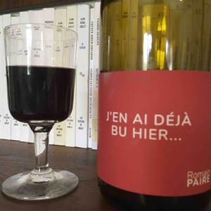 Domaine des Pothiers - Denise, Georges & Romain Paire - J’en Ai Déjà Bu Hier