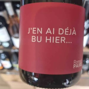Domaine des Pothiers - Denise, Georges & Romain Paire - J’en Ai Déjà Bu Hier