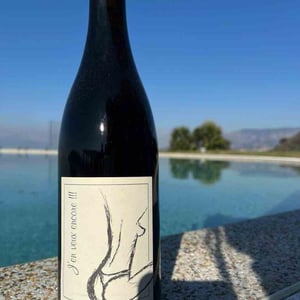 J'En Veux Encore!!! - Domaine Ganevat - anne-jean-francois-ganevat