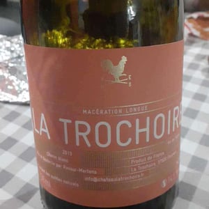 Jeunes Vignes - Château La Trochoire - Famille Rocour-Mertens 
