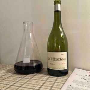 Jeunes Vignes - Clos du Rouge Gorge - cyril-fhal