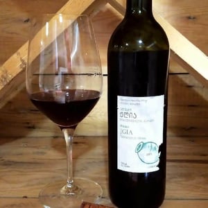 Jgia - Tsikhelishvili Wines - Aleksi Tsikhelishvili 