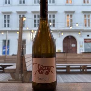 Joanots - Celler Cal Tiques - Joan Rubio 