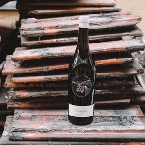 Johannes Zillinger Pink Soleira - Bioweingut Johannes Zillinger - Johannes Zillinger 