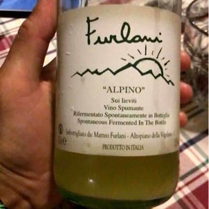 Cantina Furlani - Matteo Furlani - Joannizza