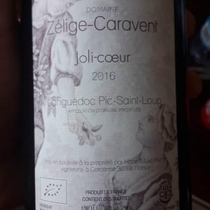 Joli-Cœur - Zélige Caravent - Luc & Marie Michel 