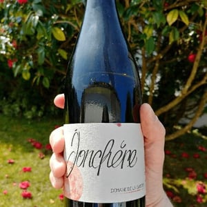 Jonchère - Domaine de la Gapette - victor-blondin