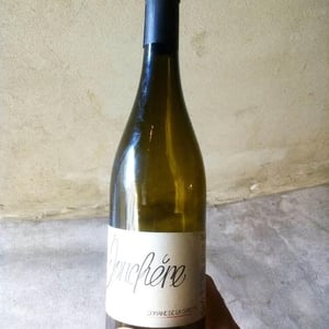 Domaine de la Gapette - Victor Blondin - Jonchère