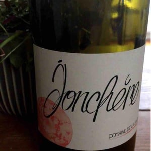 Domaine de la Gapette - Victor Blondin - Jonchère