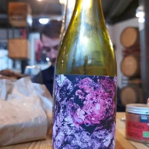 Domaine de la Gapette - Victor Blondin - Jonchère