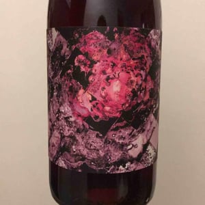 Domaine de la Gapette - Victor Blondin - Jonchère