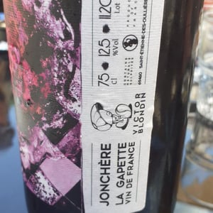 Jonchère - Domaine de la Gapette - Victor Blondin 