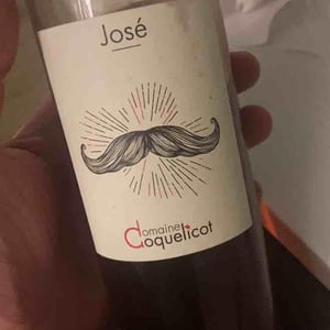 José - Domaine Coquelicot - Gregoire Rousseau 