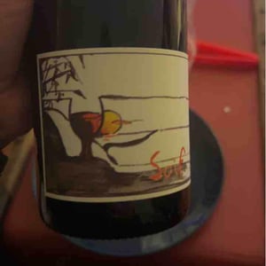 Jour De Soif - Domaine Du Bel Air - pierre-rodolphe-gauthier -2019