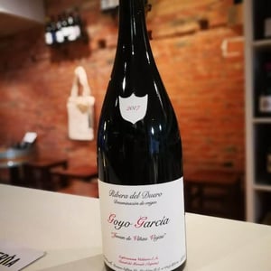 Goyo Garcia Viadero 2017