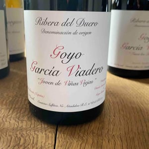 Joven de Viñas Viejas - Goyo Garcia Viadero - goyo-garcia-viadero