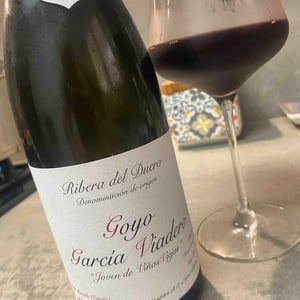 Joven de Viñas Viejas - Goyo Garcia Viadero - Goyo Garcia Viadero 