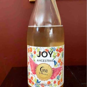 Joy Ancestral