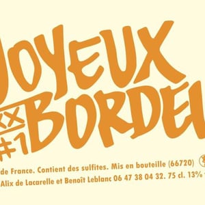 Joyeux Bordel #1 - Joyeux Bordel - benoit-leblanc