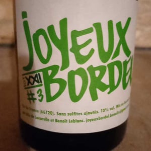 Joyeux Bordel #3 - Joyeux Bordel - benoit-leblanc