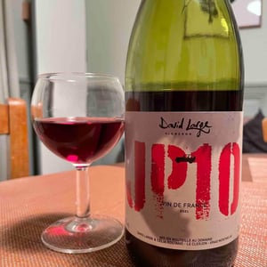 JP10 - David Large - celia-rostand-et-david-large -2021